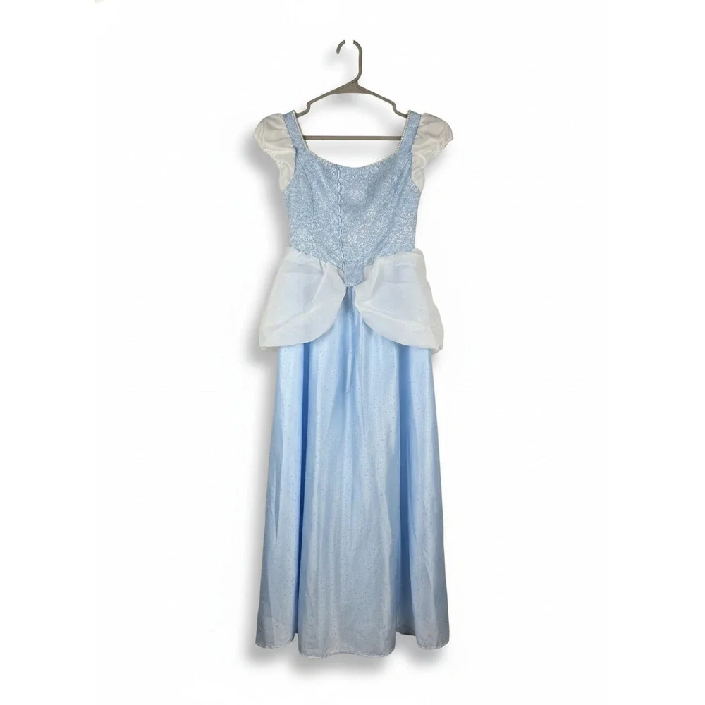 Classic Cinderella Dress Cinderella Cosplay Costume – Lydiacosplay SZ 16/XL